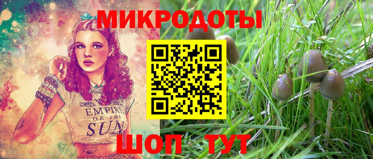 Шадринск  Галлюциногенные грибы Psilocybine cubensis  Галлюциногенные грибы прущие грибы  Вход с VPN 